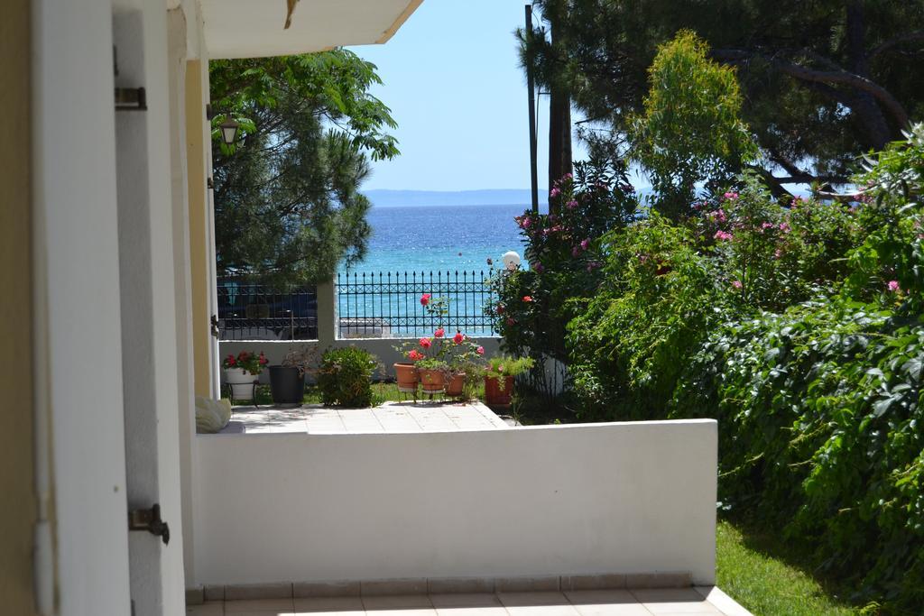 House Anna Daire Nikiti  Dış mekan fotoğraf