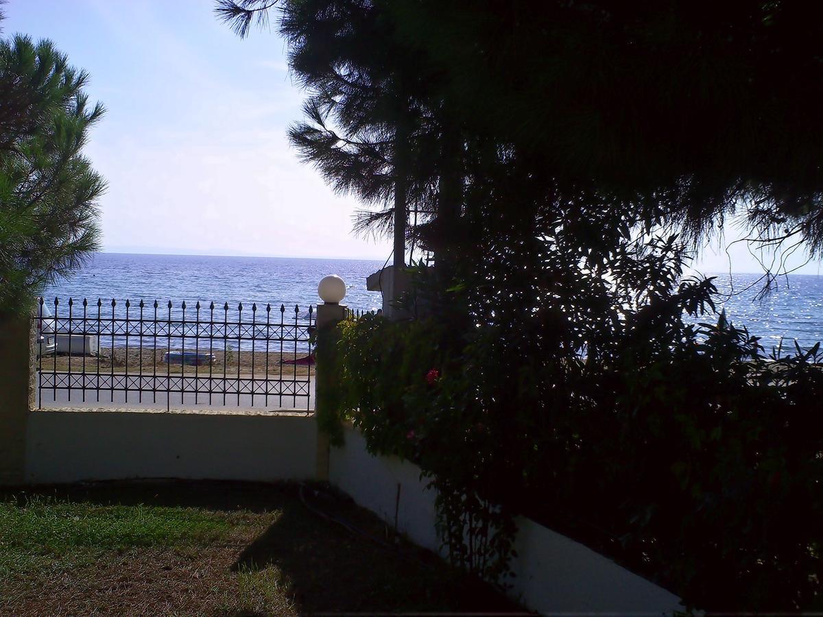 House Anna Daire Nikiti  Dış mekan fotoğraf
